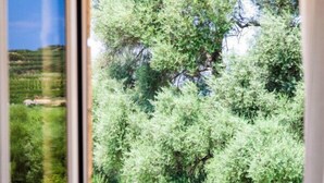 Ein Fenster mit Blick auf einen gepflegten Garten, inklusive eines großen Baumes und einer Steinmauer.