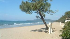 A beach with a lone pine tree, a sandy shore, and a clear blue sky. - Villa "Il Diaccio" with a panoramic view of the Tuscan Maremma (Roccatederighi)