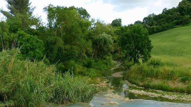 A natural hot spring with clear water surrounded by lush greenery and trees. - Villa "Il Diaccio" with a panoramic view of the Tuscan Maremma (Roccatederighi)