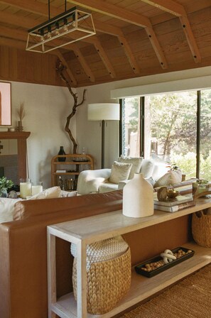 TV, fireplace, toys, smart speakers