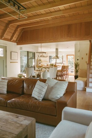 TV, fireplace, toys, smart speakers