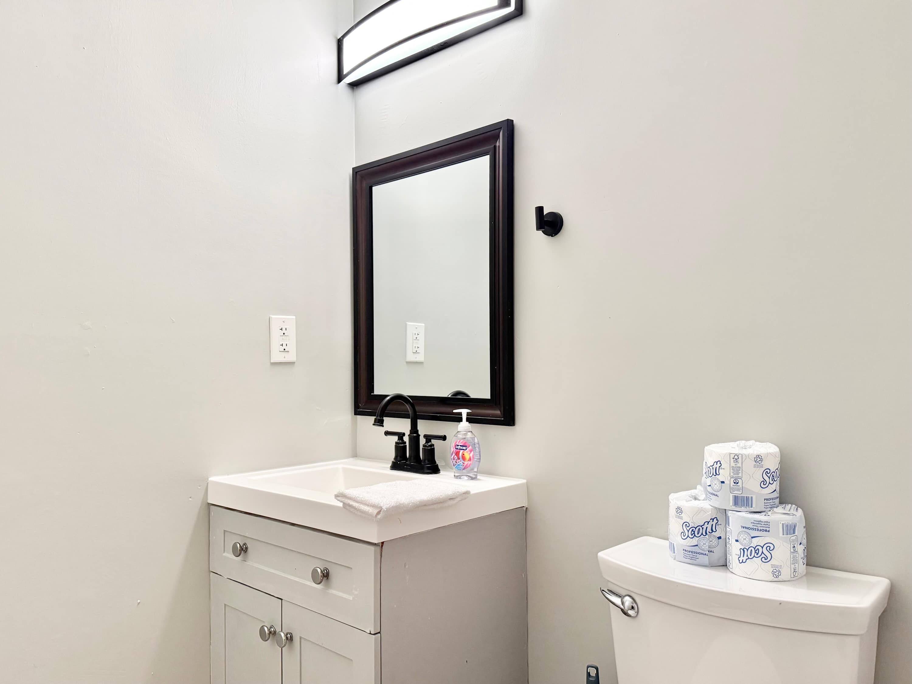 A bathroom with a white sink, a mirror, a toilet, and toilet paper.