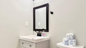 A bathroom with a white sink, a mirror, a toilet, and toilet paper.