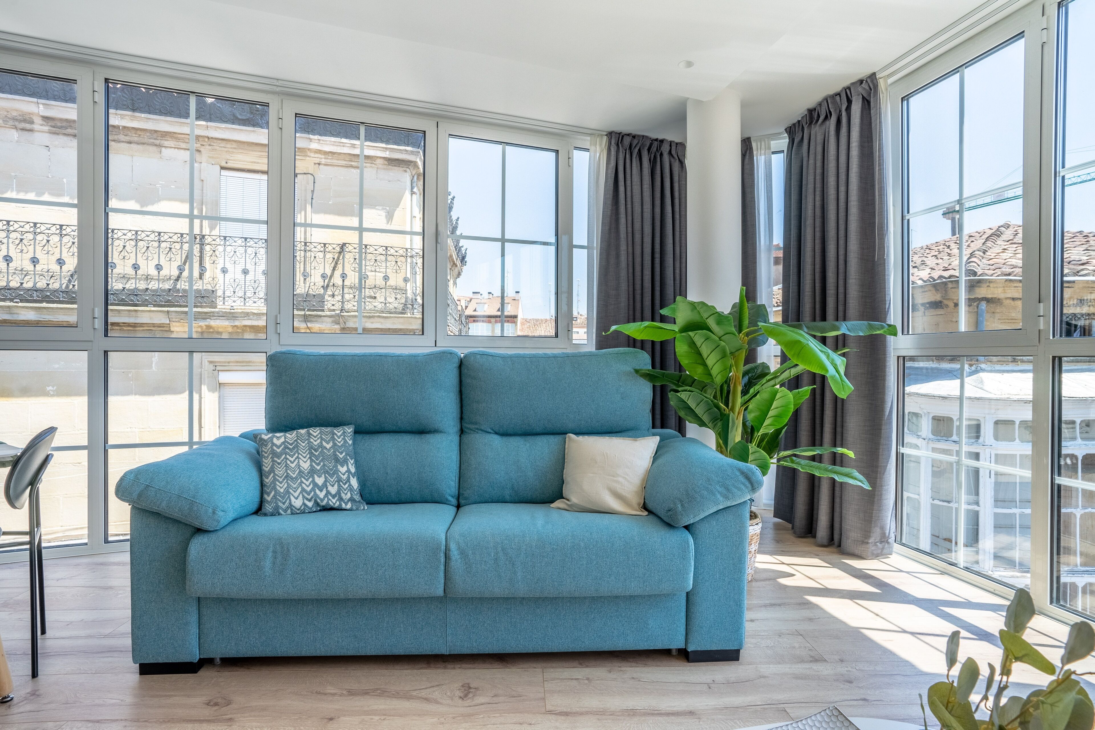 A blue sofa with cushions in a room with large windows and a potted plant.