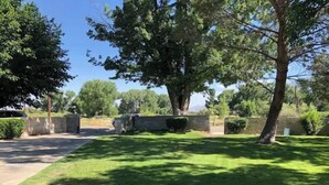 A well-maintained lawn with a large tree in the center, surrounded by a low stone wall and a hedge. - Blue Skye: Downtown Getaway (Bishop)