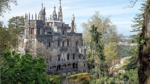 Un château historique doté de nombreuses tours et d’une structure fortifiée, entouré d’une végétation luxuriante et d’arbres.