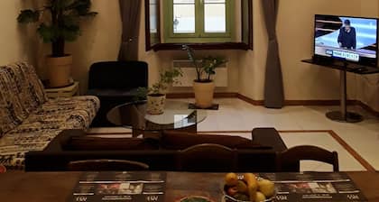 L'Anthurium de l'Opéra