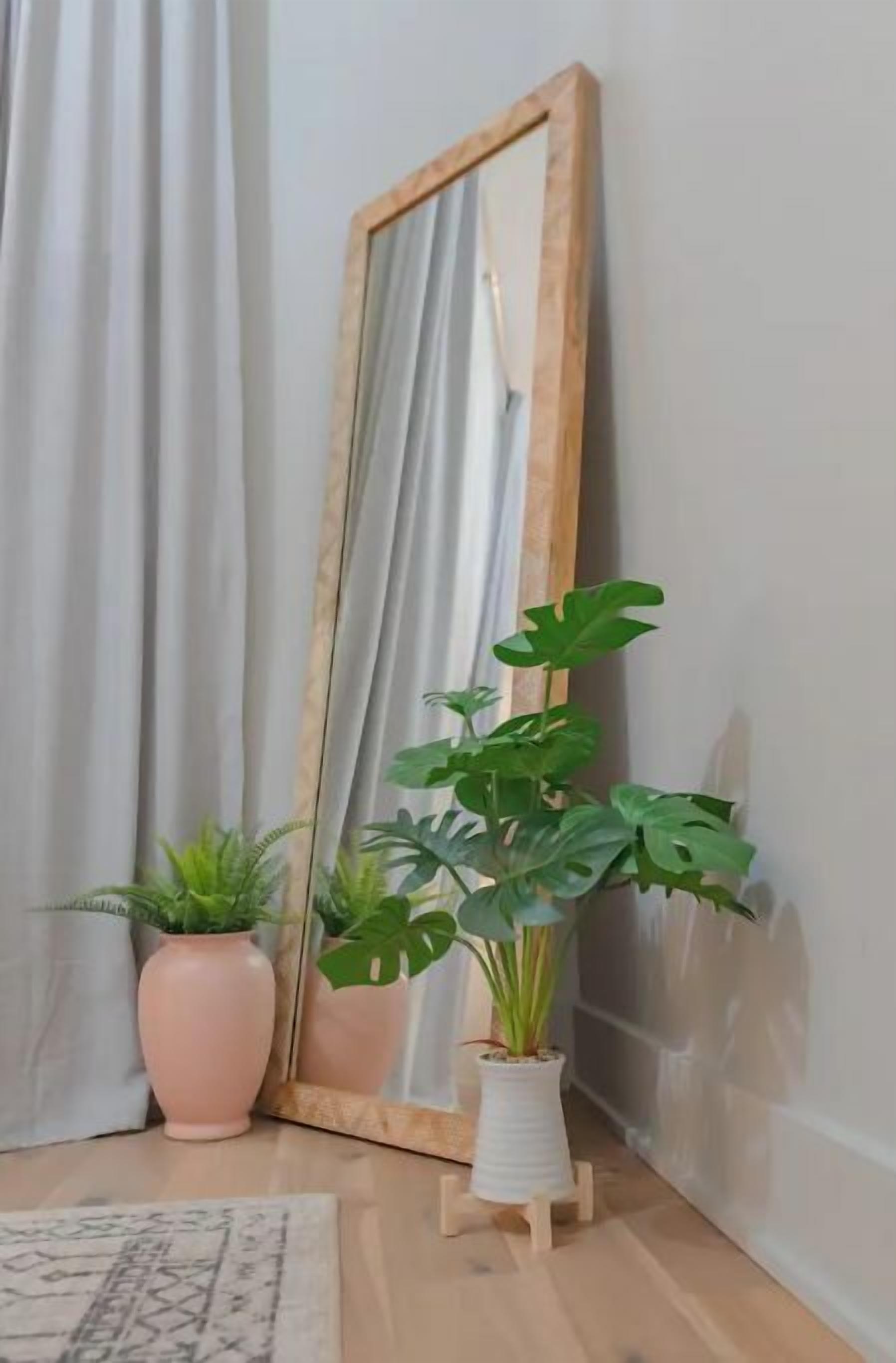 Un miroir appuyé contre un mur, flanqué de deux plantes en pot, l’une dans un pot rose et l’autre dans un pot blanc.