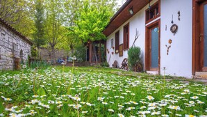 A traditional stone building with a garden full of daisies. - Serbetci Garden Konak (Safranbolu)