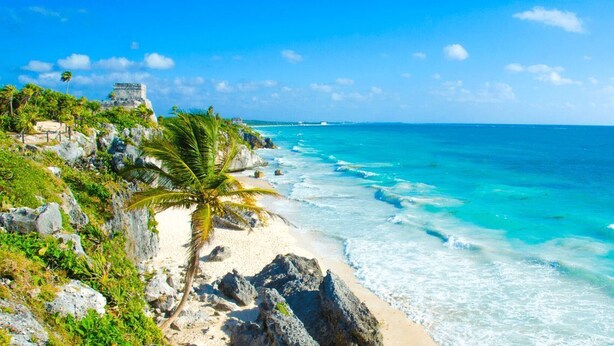 A coastal landscape with a beach, rocky outcrops, and a palm tree. - ITZÁ ALDEA ZAMÁ - BOHO CHIC con Alberca (Tulum)