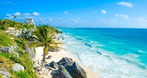 A coastal landscape with a beach, rocky outcrops, and a palm tree. - ITZÁ ALDEA ZAMÁ - BOHO CHIC con Alberca (Tulum)
