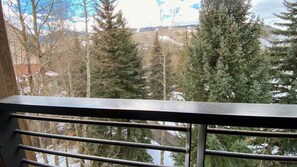 公寓客房, 多張床 (#310 Vail International) | 陽台