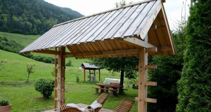 Studio ALPIKA- surrounded by nature