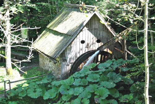 Studio ALPIKA- surrounded by nature