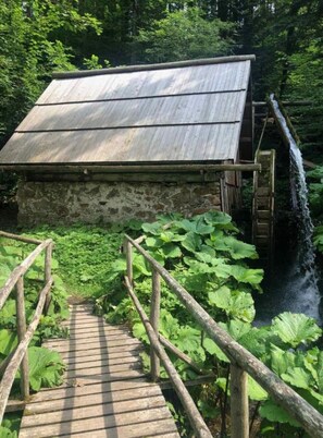 Terrain de l’hébergement 