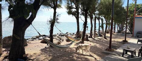 Grand Cabin | Free WiFi, bed sheets