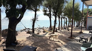 Grand Cabin - The Place at the Sea (Ponce)