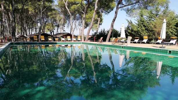 A clear swimming pool surrounded by trees, with lounge chairs and umbrellas. - Camping Green Village Pin Tourist (Palagiano)