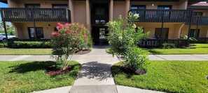 Property grounds - Tiki (1-Bedroom Home) with Pool by RedAwning (South Padre Island)