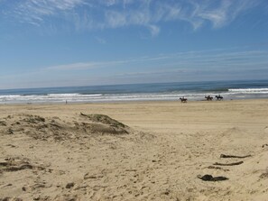 Nær stranden, solsenger og strandhåndklær