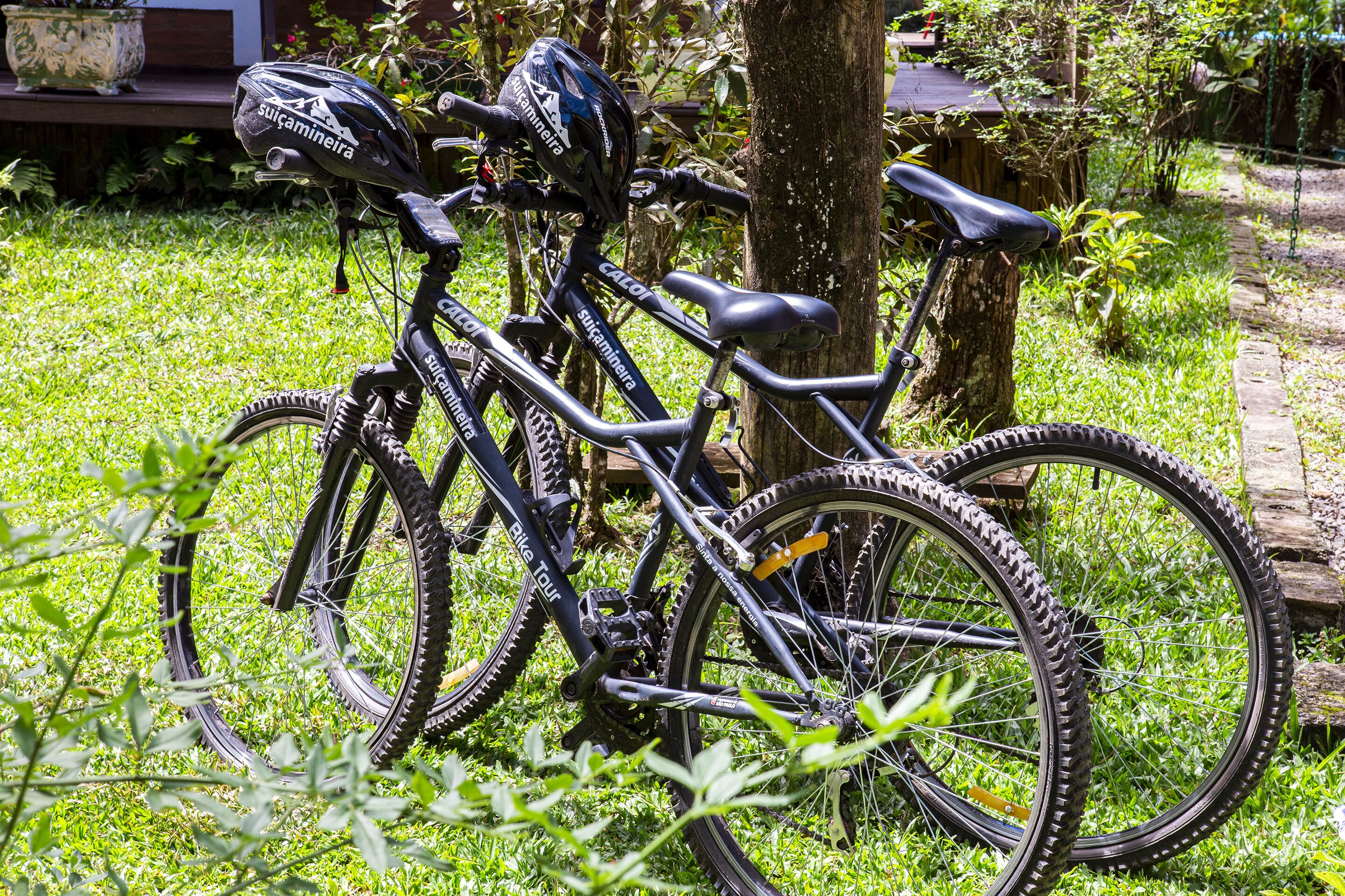 Foto - Pousada Suiça Mineira Garden