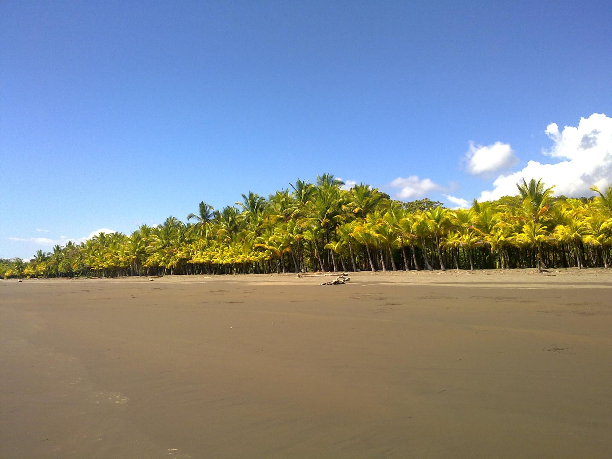 Beach nearby, sun loungers, beach towels
