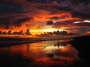 Pool - Slice Of Paradise Beach Bungalow, sleeps 2 - 5, full kitchen, 2 baths, AC, &more (Playa Matapalo)