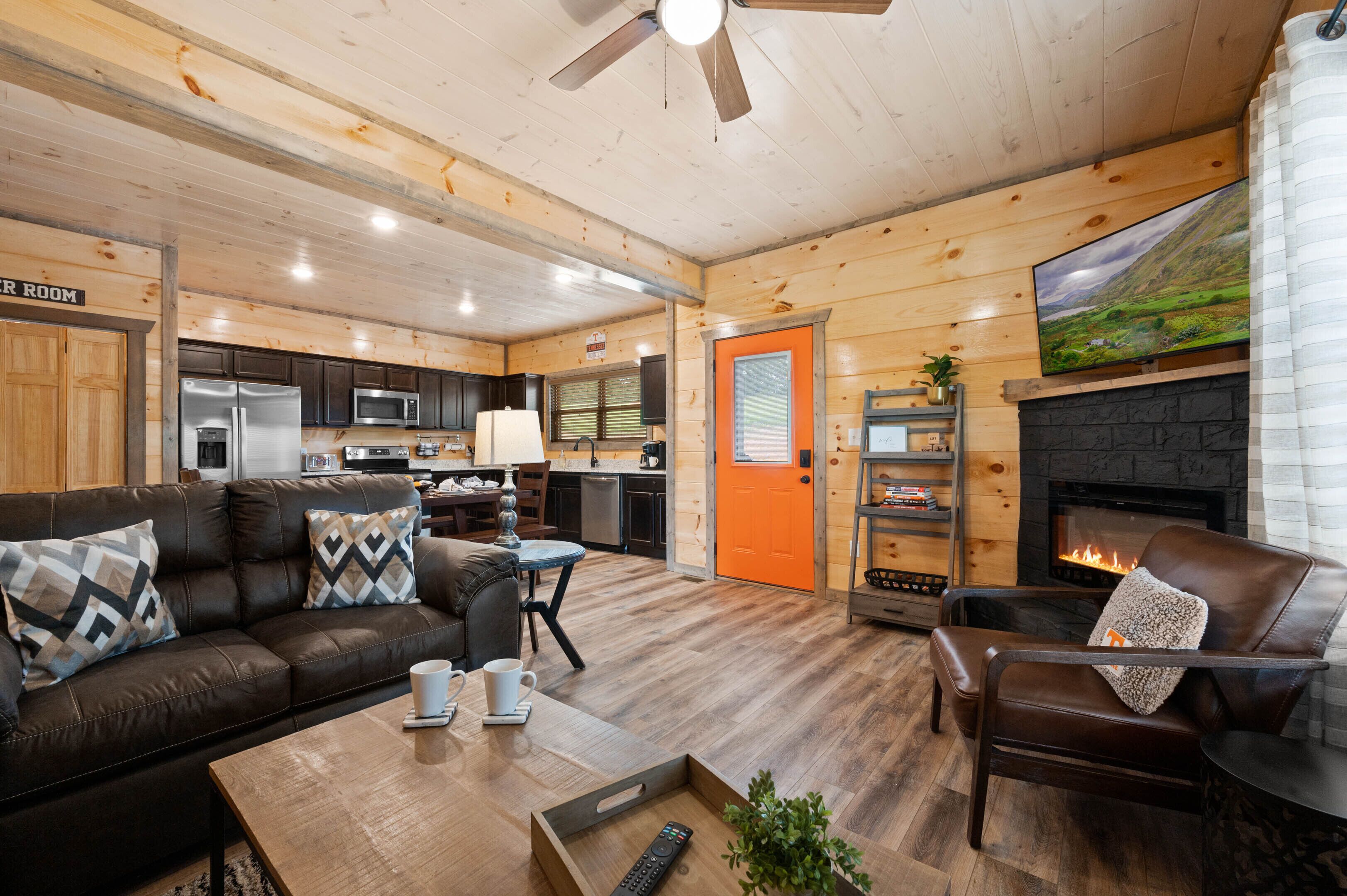Smart TV, fireplace, video games, books