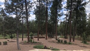 A forested outdoor area with a stone pathway and a hammock. - AMAZING 4300 SQ FEET RETREAT ON  4.5 ACRES WITH AC!! SLEEPS 16 PETS WELCOME! (Pinetop-Lakeside)
