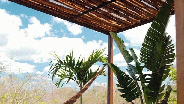A covered outdoor seating area with a hammock, wooden chairs, and potted plants. - Galopina (Seyé)