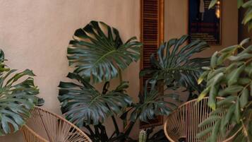 A small, enclosed outdoor area with two wicker chairs, a round wooden table, and large potted plants.