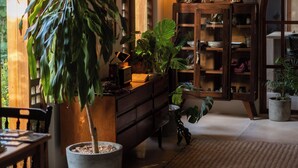 A cozy living room with a large potted plant, a wooden cabinet with glass doors, and a hanging light fixture. - Galopina (Seyé)
