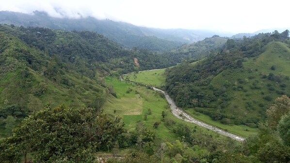 A valley with a river, surrounded by lush green hills and dense forest.