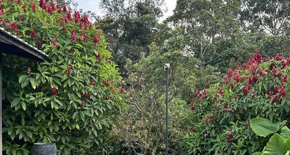 Beautiful & Comfortable Suite In The Country Side