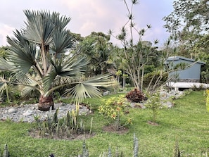 Property grounds - Beautiful & Comfortable Suite In The Country Side (Circasia)