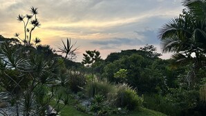 Un jardin avec différentes sortes de plantes et un ciel dégagé.