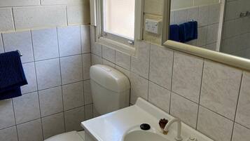 Un baño con inodoro, lavamanos y ventana.