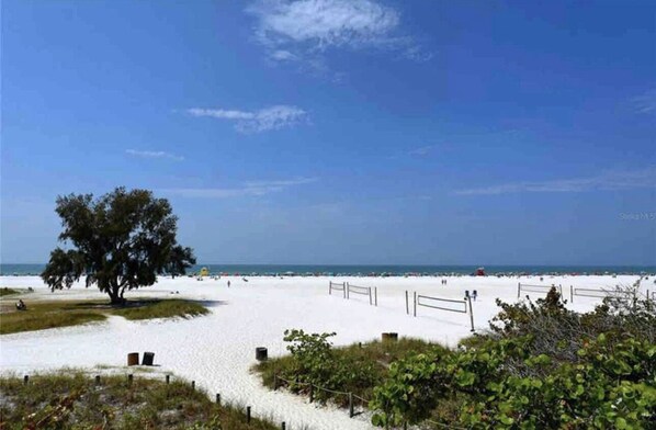 Une plage de sable blanc, un grand arbre et un ciel bleu azur.