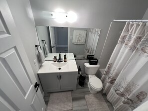 Et badeværelse med en hvid vask, toilet, spejl og bruseforhæng.