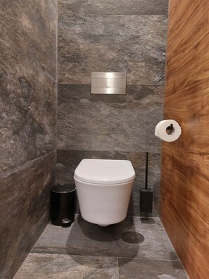 Ducha, secador de pelo, bidet, toallas