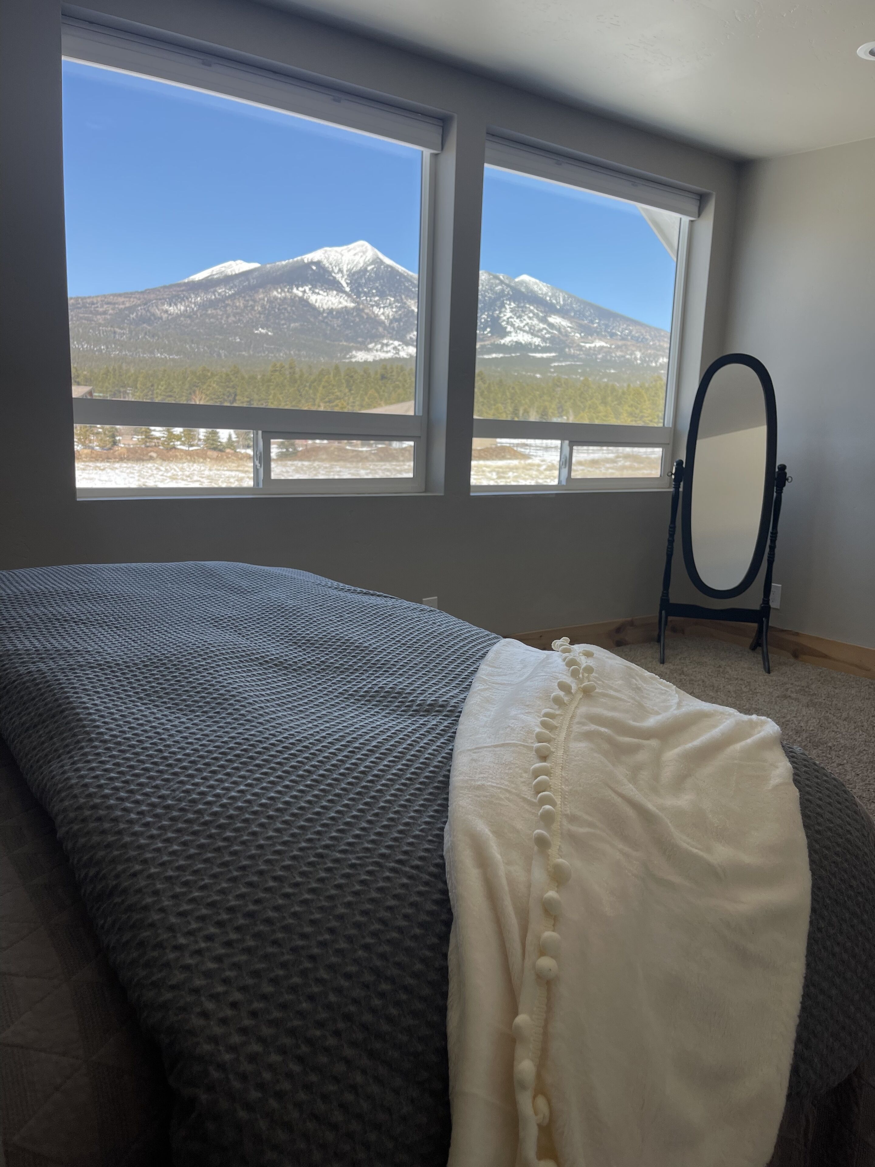 A bedroom with a large bed, a mirror, and a view of a mountain.