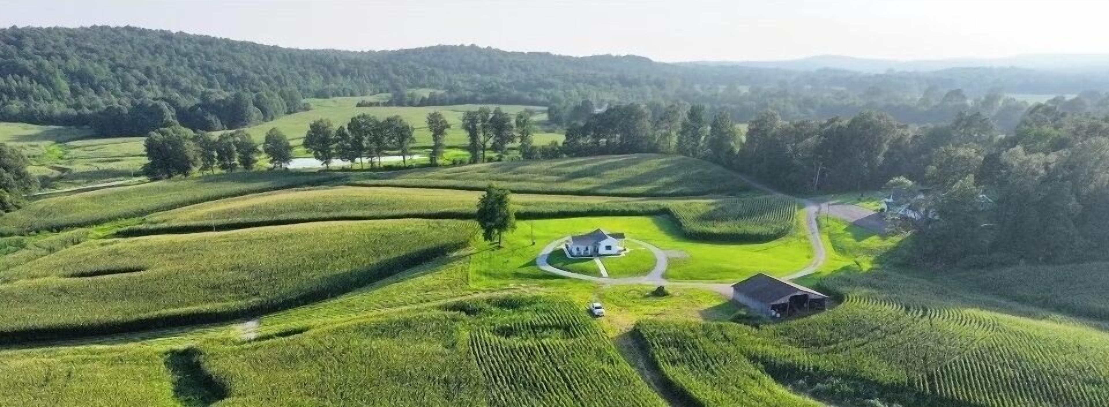A rural landscape with terraced fields, a white house, and a barn.