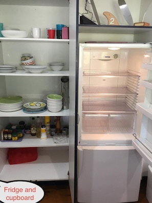 fridge and kitchen cupboard