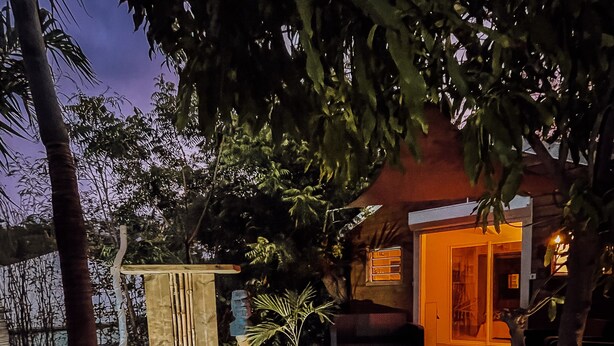 A wooden deck leading to a house with a glass door, surrounded by trees and plants. - Mango Cottage Orient Bay, Charming and Authentic (Collectivité de Saint-Martin)
