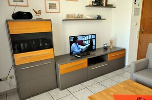 Televisión 