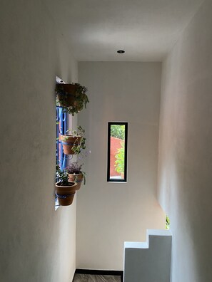 Entrada interior