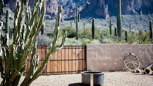 A desert landscape with cacti and a wooden fence. - Breathtaking Views Spa Dog Friendly w/ Casita (Apache Junction)