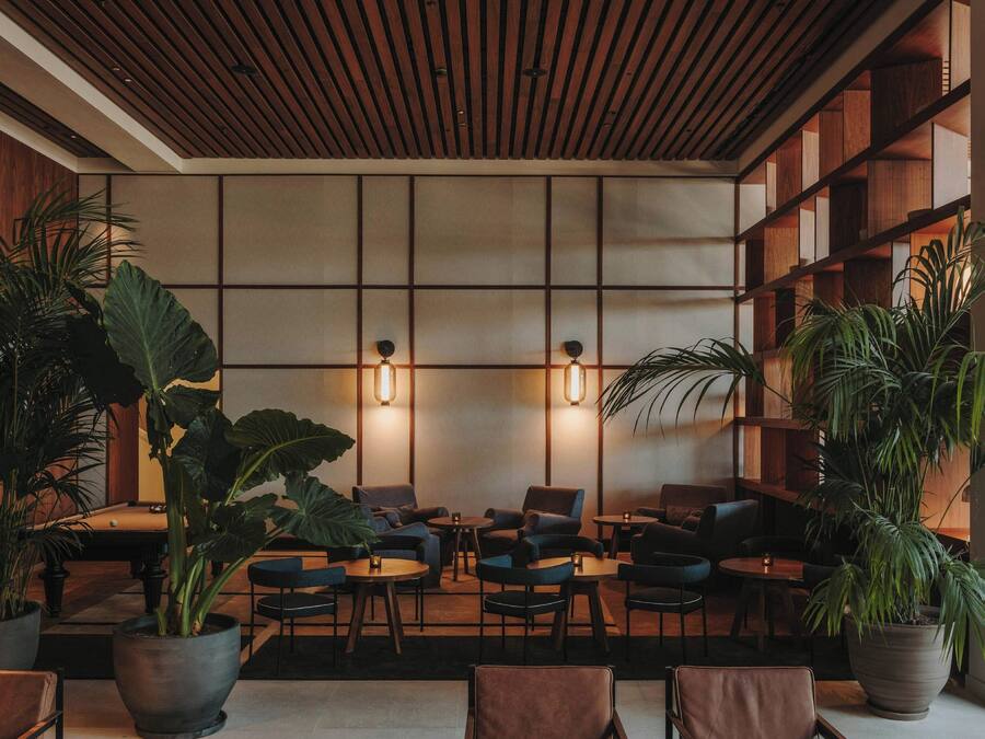 A modern lounge area with seating, large potted plants, and wooden shelving.