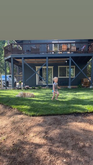 Property grounds - Magical Mountain Family Cabin (twain Harte)
