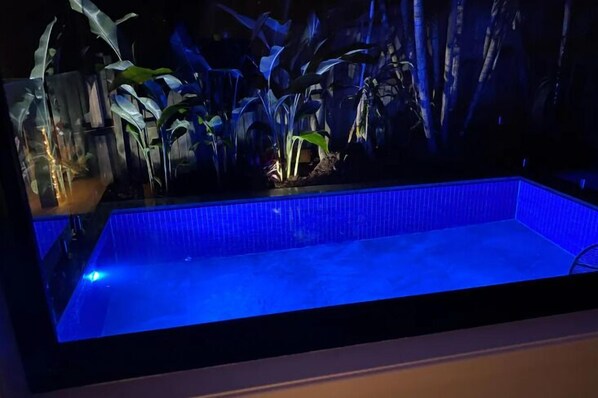 Una piscina rectangular con iluminación azul en su interior, rodeada de plantas tropicales y una pared oscura y con textura.